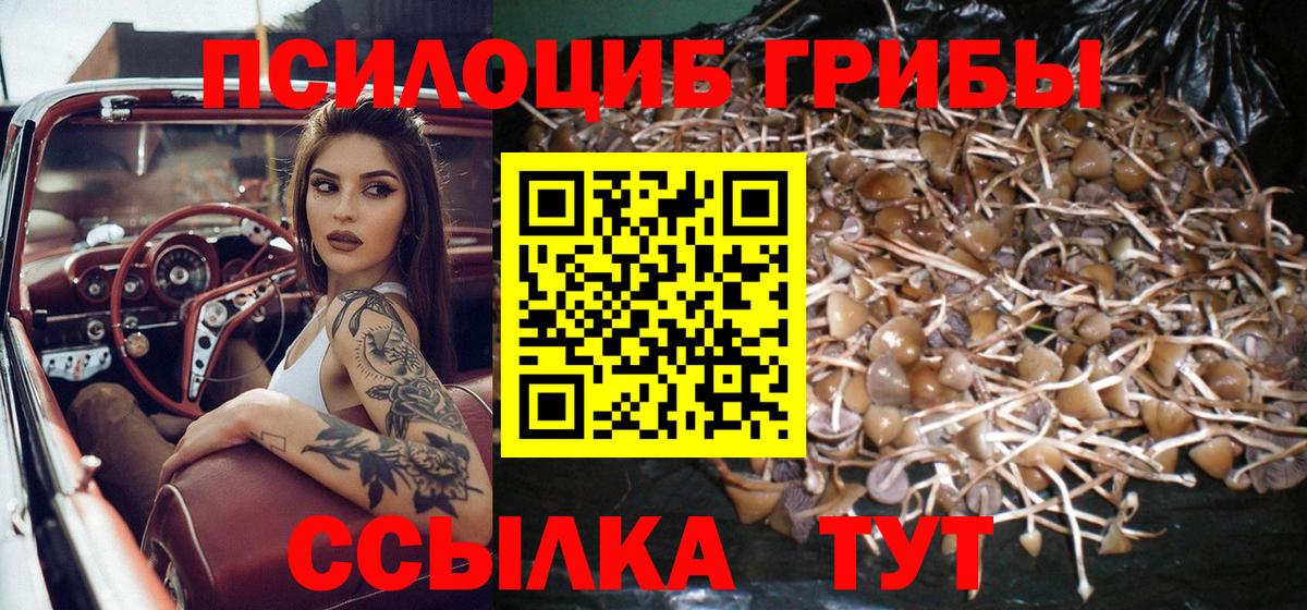 Благодарный  Галлюциногенные грибы прущие грибы  Вход с VPN 