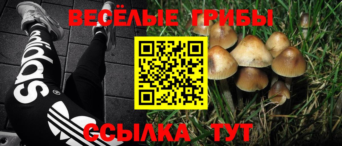 Галлюциногенные грибы Psilocybine cubensis Благодарный